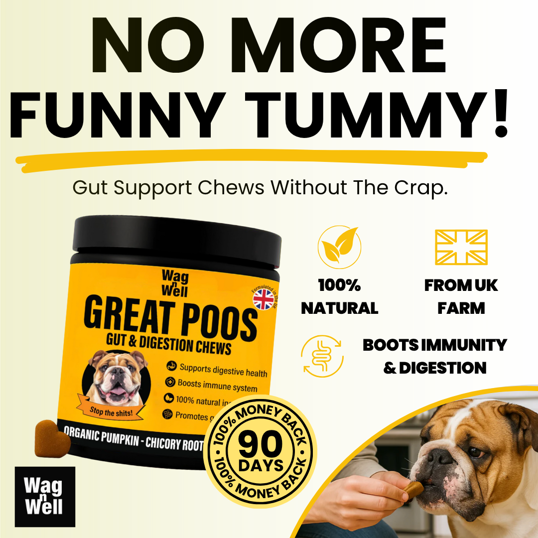 Great Poos™ - 100 Gut & Digestion Pre & Probiotics Chew Treats