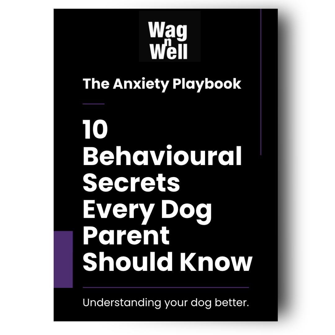 The Anxiety Playbook: 10 Behavioural Secrets Every Dog Parent Should Know