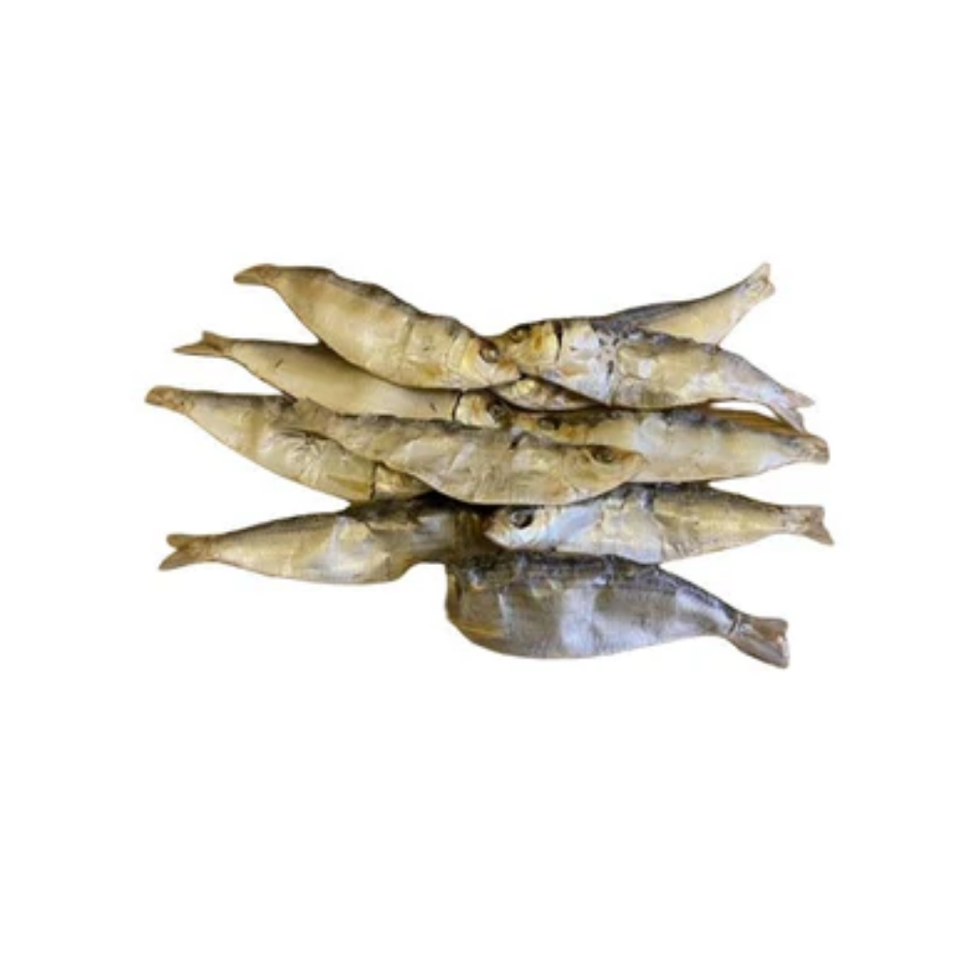 Sardines