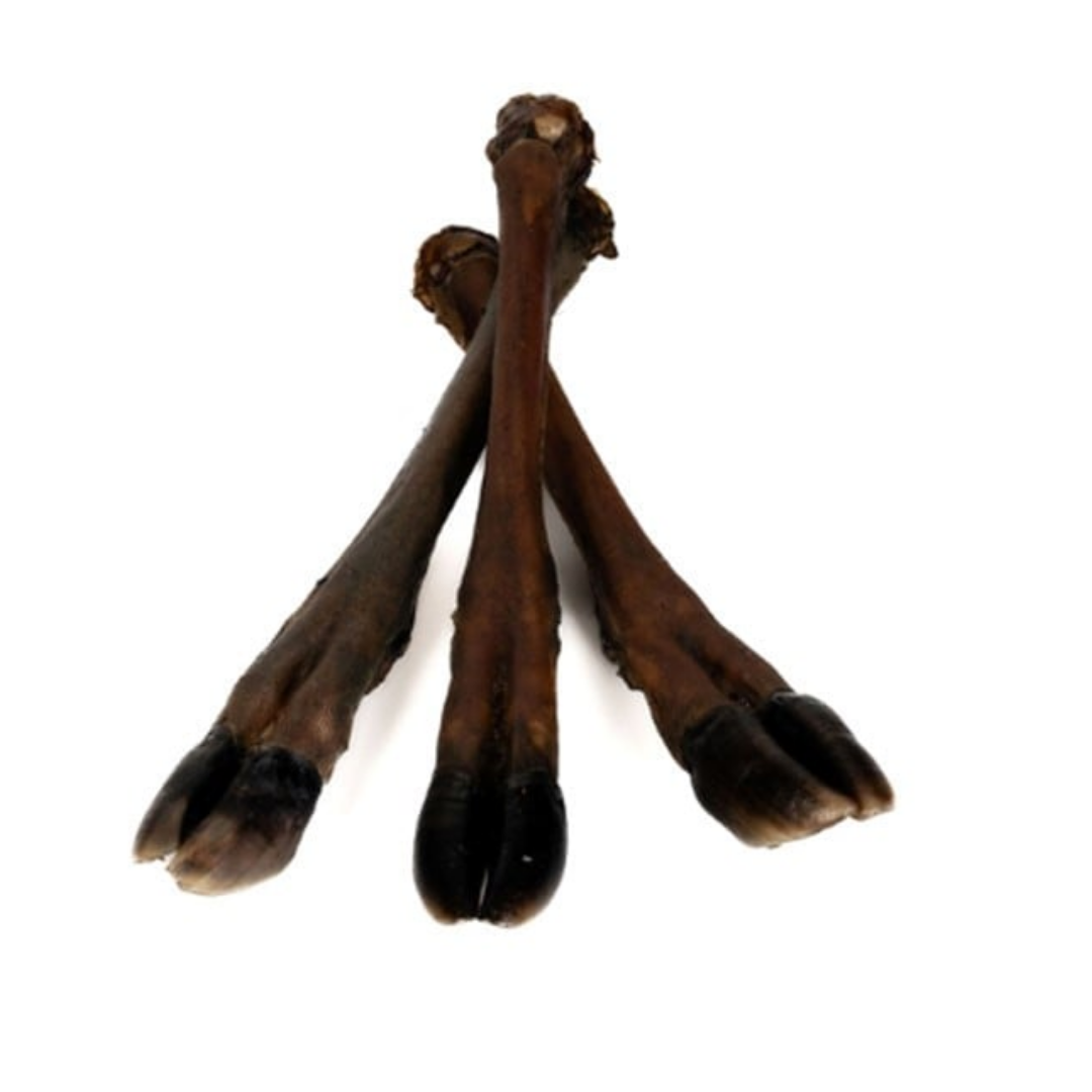 Venison Leg Large
