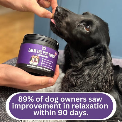 Calm The Pup Down™ - 100 Natural Calming Chew Treats