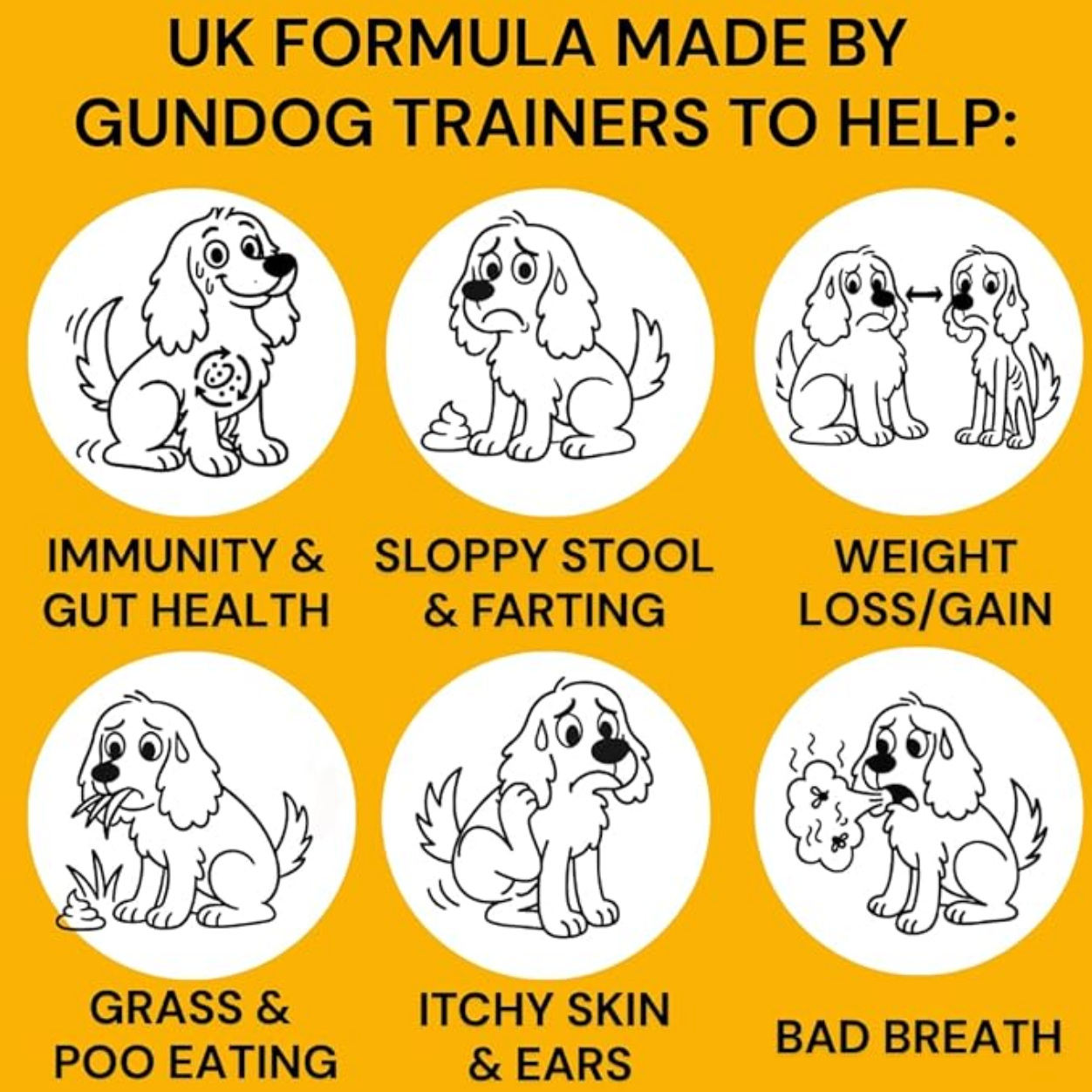 Great Poos™ - 100 Gut & Digestion Chew Treats