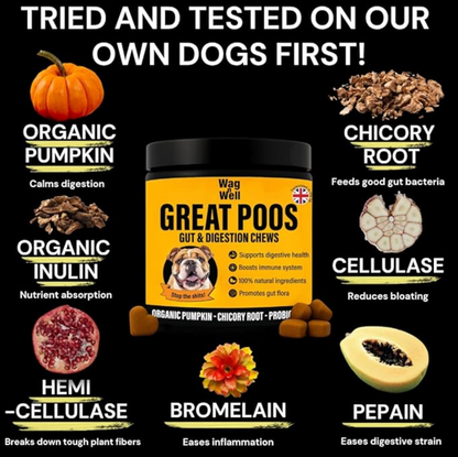 Great Poos™ - 100 Gut & Digestion Chew Treats