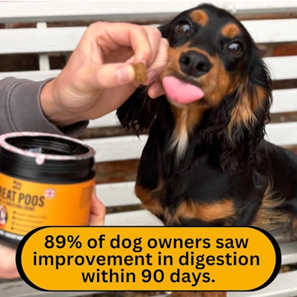 Great Poos™ - 100 Gut & Digestion Chew Treats