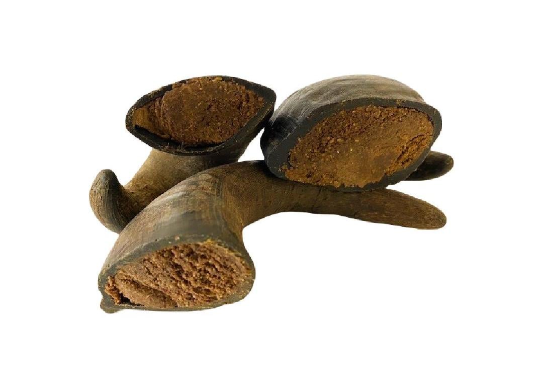 Buffalo Horn With Meat
