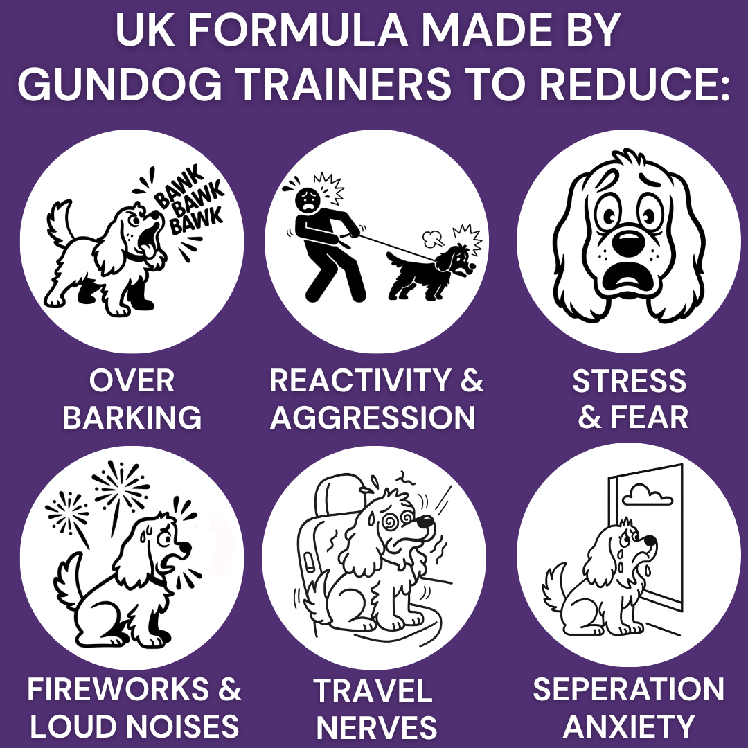 Calm The Pup Down™ - 100 Calming Chew Treats