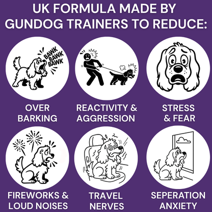 Calm The Pup Down™ - 100 Calming Chew Treats