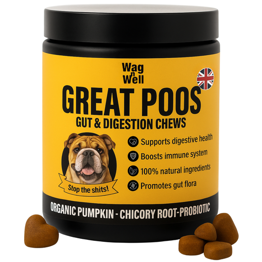 Great Poos™ - 100 Gut & Digestion Pre & Probiotics Chew Treats