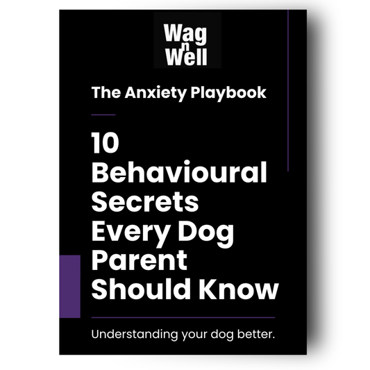 The Anxiety Playbook: 10 Behavioural Secrets Every Dog Parent Should Know