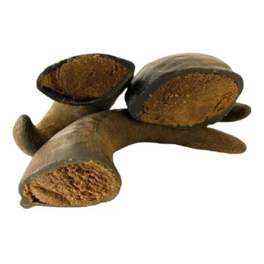 Buffalo Horn With Meat